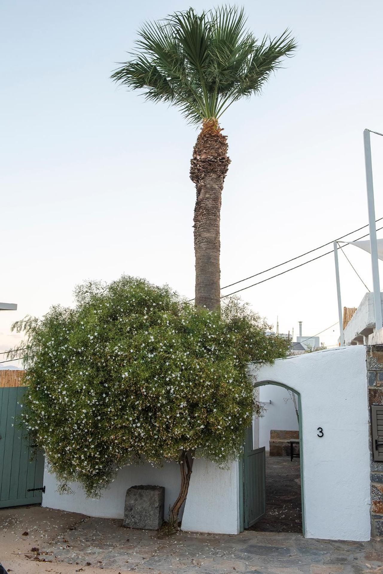 איסטרו Gioma Garden Villas מראה חיצוני תמונה
